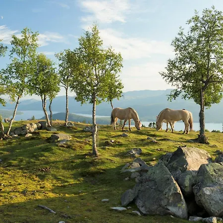 Langedrag Naturpark As