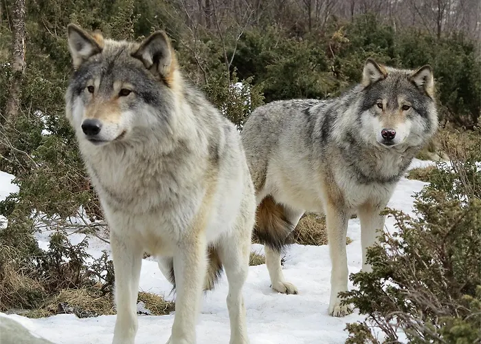 Hotel Langedrag Naturpark As *