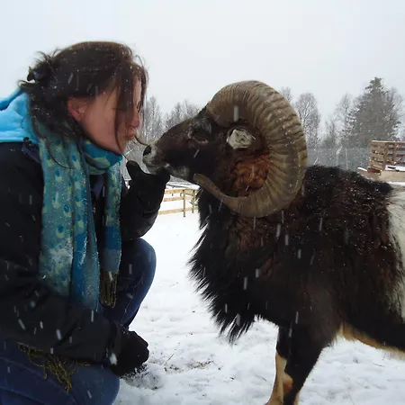 Langedrag Naturpark As Hotell *