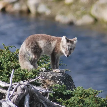 Langedrag Naturpark As Hotell Tunhovd