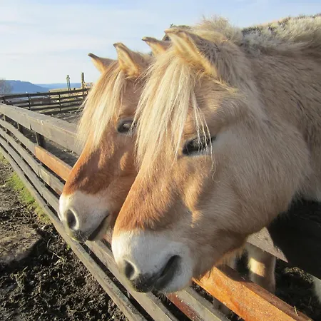Langedrag Naturpark As Hotell *