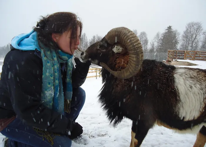 Langedrag Naturpark As Hotell *