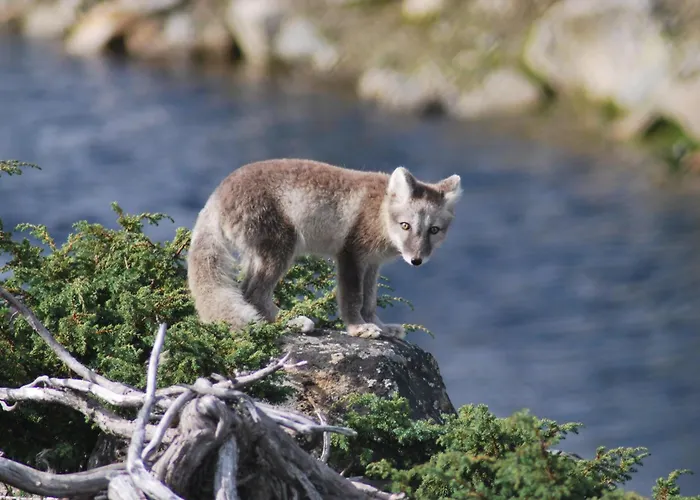 Langedrag Naturpark As Hotell Tunhovd
