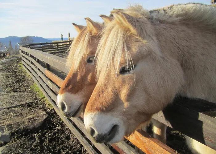 Langedrag Naturpark As Hotell *