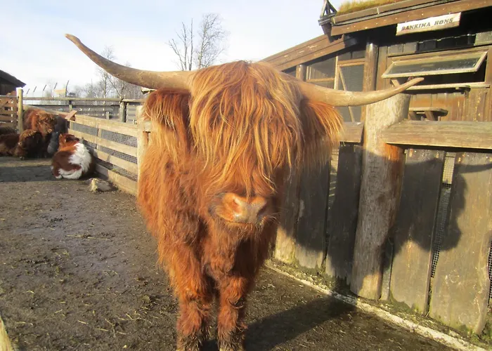 Hotell Langedrag Naturpark As Tunhovd